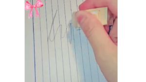 capybara cute jelly eraser