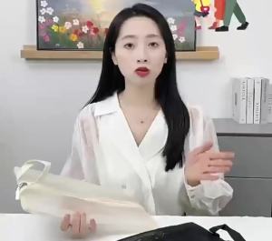 Breathable Shoe Storage Bag Handheld Dustproof Organizer B095/B096