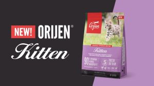 Orijen Kitten