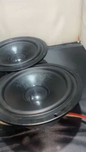speaker ZYPER component 6 inch implosive sound 300 watt 6 inch