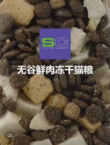 Hạt Cho Mèo SC Aninal Nutrition Siêu Topping Protein 42%Hạt Ăn Cho Mèo Giúp Tăng Cân