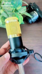 NO LIMIT Mic Mikrofon Kondenser Untuk Soundcard Karaoke Studio XLR with Shockproof Mount BM-800