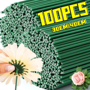 Dizoey 100PCS Floral Stem Wire Flower Arrangements DIY Bouquet Stem Wrapping and Crafts Household Wedding Party Decorative Accessories