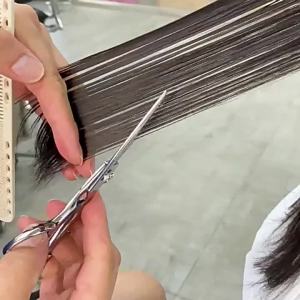 Fenice | Bộ Kéo Cắt Tóc 6 Inch