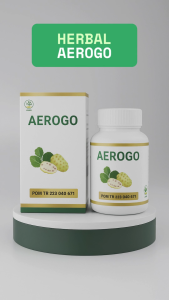 Aerogo Obat Stroke Dan Pemulihan Pasca Stroke Sudah BPOM