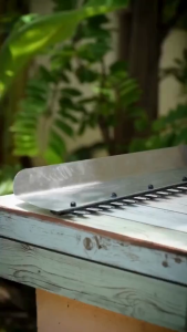 รับประกัน 1 ปี MASARU COMBO SET เลื่อยไฟฟ้า+เครื่องตัดพุ่มไม้ เครื่องมือตัดแต่งกิ่งไม้ ตัดพุ่มไม้ สำหรับสวนและบ้าน ใช้งานสะดวก เครื่องมือช่างสวน ตัดแต่งกิ่งไม้ แข็งแรงทนทาน มาซารุ อุปกรณ์ตัดแต่งกิ่งไม้ พุ่มไม้ และสวน ใช้งานง่าย พลังแรง