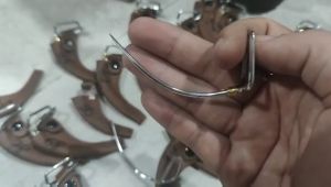 Cựa gà nòi size 70