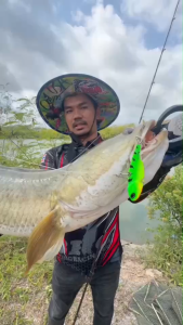 เหยื่อตกปลา กระดี่ รุ่น ฟอซ่า ขนาด 6 ซม.น้ำหนัก 18 กรัม เบ็ดสามทางเบอร์ #6 By น้า โอ๊ต Usa กบยาง ตกปลา เบ็ด