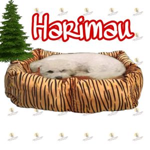 KASUR TEMPAT TIDUR KUCING ANJING//WARM BED//PETS BED SMALL//KASUR KUCING ANJING