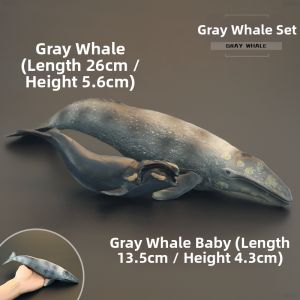 MENGSILE | Cognitive Gray Whale Model
