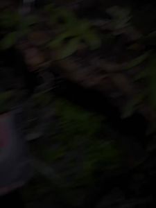 ANTA Men ZAP 1 ESG Basketball Shoes Nitrogen Professional Low-Top Athletic Sneakers 912421111Q Legit Official Store