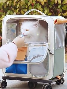 Dada Fifi Land Stylish Cool Cat Carrier Pet Carrier Trolley