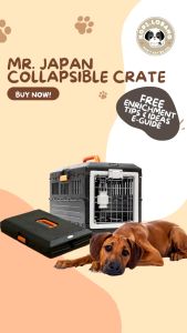 ✅[SG] MR. JAPAN COLLAPSIBLE CRATE FOR DOG AND CAT ★ Crate Training ★ FREE Training e-Guide Worth $7★ Enrichment ★ SG Stock ★ Kopi Lobang
