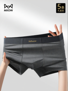 MiiOW | Invisible Ice Silk Mens Briefs