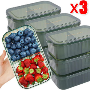 3Pcs Refrigerator Storage Box With Lid Food Fresh-Keeping Organizer Boxes Fridge Fruit Vegetable Storage Containers Case For Kitchen