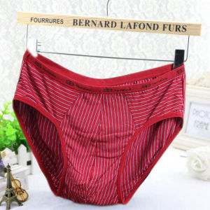 2-Pack Tailang Modal Cotton Mens Briefs Bamboo Fiber Plus Size Birth Year Red Pants Panties