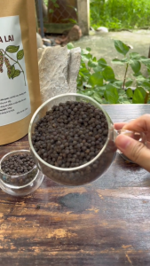 [TẶNG 20gr TIÊU + CHÉN CHẤM] Cà Phê Robusta Nguyên Chất 1kg Rang Xay Mộc Gia Lai - Trạm Gốm  Sứ Decor