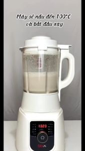 Máy Xay Sữa Hạt Đa Năng SEKA E300 - Hàng Chính Hãng