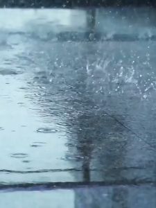 MY-HIMáy chạy bộ có tay cầm Máy tập đi bộ thông minh Thiết bị tập thể dục tại nhà siêu mỏng Máy chạy bộ/đi bộ trong nhà