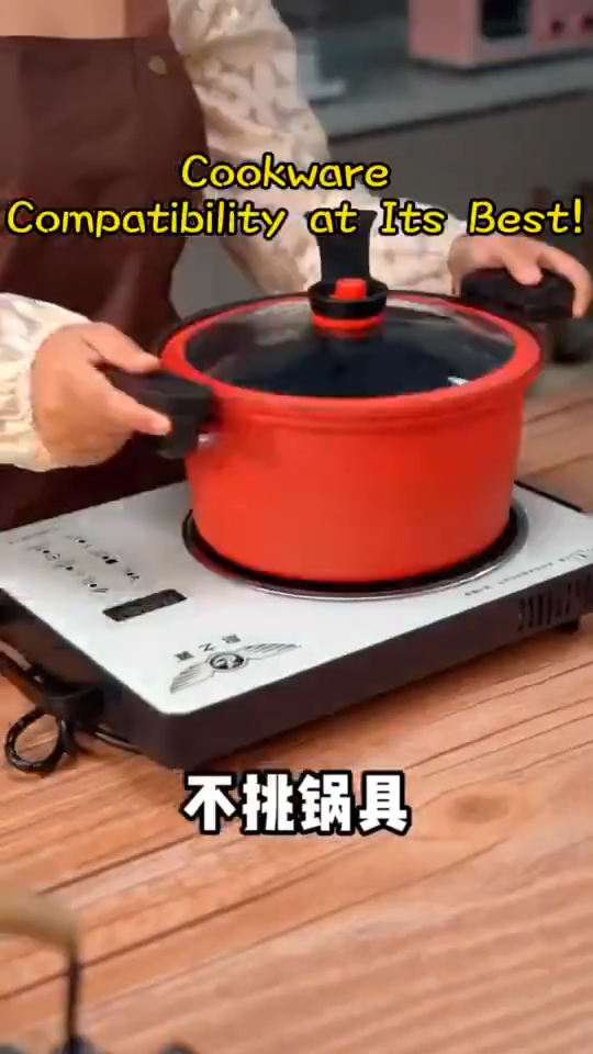 Tefal 3500W Multifunction Infrared Ceramic Induction Cooker Touch Control Electric Gas Stove (Any Pot)