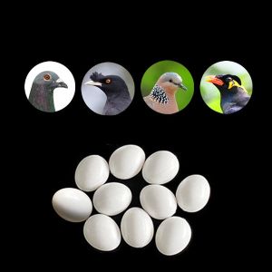 Parrot Fake Eggs Solid Core Bird Eggs for Parrot Peafowl Pekin Duck Realistic Looking Faux Eggs 10 Pieces Tiger Skin Pattern