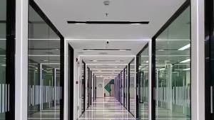 Oil Control Volumizing Rice Water Shampoo Scalp Care Refreshing Anti-Dandruff Shampoo Moisturizing Body Wash