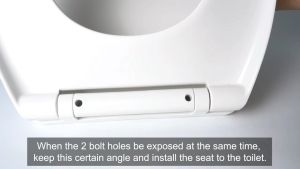 O-shaped Circular Toilet Seat Cover: A Silent & Universal Upgrade