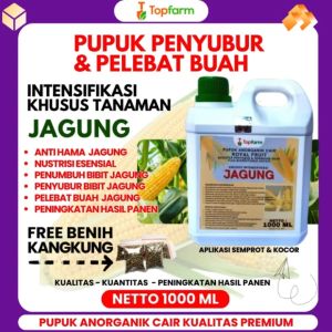 Pupuk Khusus Tanaman Jagung & Pupuk Jagung Terbaik