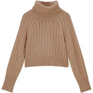 SOLWEIGE | SOLWEIGE Heavyweight Wool Knit Short Sweater High Neck Thickened Autumn Winter Warm Skin-friendly Commute Style Polyester Fiber