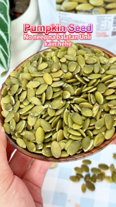 Mr.Squirrel 100g Roast Pumpkin Seeds Salty flavor Ready to Eat snacks