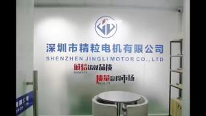 BL2930F Bladeless Hair Dryer Motor  220V High Speed Brushless Motor   Digital Motor   Rotational Speed 11 Universal Rotation