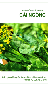 [EcoSeeds] Combo 2 Gói Hạt Giống Cải Ngồng Nông Hưng Phú - Giống Cây To Sinh Trưởng Khỏe - Gói 20g