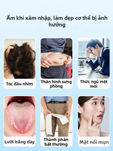 QILIXIANG | Trà Giảm Ẩm Sức Khỏe 22 Gói