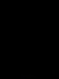 Non-Stick Frying Pan & Die-Cast Cookware: Kawali Wok Pot for All Stoves