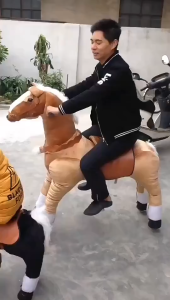 3-6 Years Kids Rocking and Walking Horse Pony Cycle Mechanical Cycle Walking Action Plush Animal Riding Horse