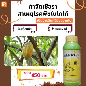 โกโก้ กิ่งแห้ง ผลเน่าดำ กำจัด เชื้อราในพืชทุกชนิด เป็นสารชีวภาพปลอดภัย ปลอดสารพิษ ไอเอส และ FK-T โกโก้กำจัดเชื้อรา โกโก้กำจัดเชื้อรา ราคา - Lazada