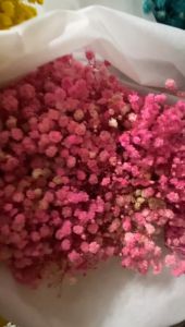 READY STOCK 100g/300g Baby Breath Gypsophila Korean Ins Dried Dry Bouquet Flower Plant Living Home Decor Decoration Bunga Hiasan Rumah 永生花 满天星