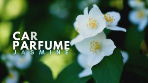 Rumah Wangi ARA - JASMINE Parfum Pewangi Mobil Pengharum Ruangan