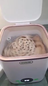 (Sale off) Máy giặt 12L tự động hoàn toàn AutoWashers giặt đồ trắng đồ lót đồ mỏng đồ cho bé