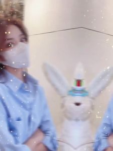 WANBAOLV | Fashionable 3D Breathable Summer Face Mask