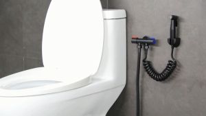 SG STOCK☛Bidet Spray Gun 304 Stainless Steel Toilet Spray Bidet Handheld Diaper Bidet Shower