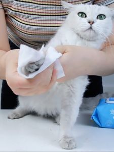 Tissue Basah Hewan Anjing Kucing / Wet Tissue Pet Wipes isi 100 pcs