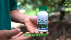 XinAzo 250SC 100ml – Azoxystrobin 250 g/l thuốc phòng trừ bệnh thán thư trên xoài