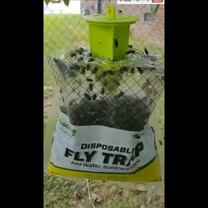 ALAmall ดักจับแมลงวันทอง ที่ดักแมลงวันทอง ปลอดภัย ไร้สารพิษ เหมาะสำหรับสถานที่ที่มีแมลงวันผลไม้มาก