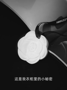 Camellia Gypsum Hanging Aroma Stone Reusable Car Closet Air Freshener Long Lasting FragranceDiffuser