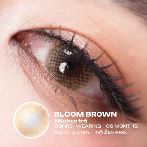 (HOẢ TỐC SG) Kính áp tròng màu Nâu trà BLOOM BROWN ACROS – Lens dùng 6 tháng đeo 8h/ngày