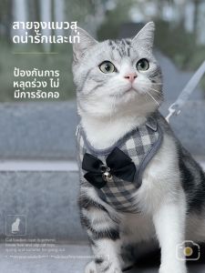 VOA | Cat Outdoor Traction Rope Anti-Escape Chain