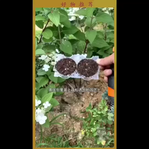 Plant Rooting Ball High Pressure Propagation Equipment Garden Grafting Box Plant Grafted Reusable