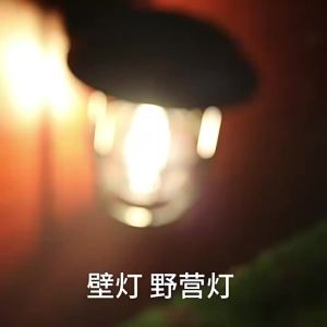 Đèn Năng Lượng Mặt Trời LED Trang Trí Sân Vườn Có Cảm Biến Chuyển Động Chống Nước Dùng Cho Ngoài Trời Sân Cỏ Tường Cắm Trại Trang Trí Đường Phố Kiểu Dáng Hiện Đại