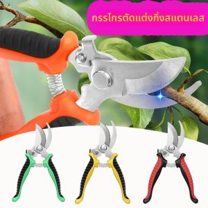 กรรไกรตัดแต่งกิ่งไม้แบบมืออาชีพ สแตนเลส ตัดกิ่งไม้ ตัดแต่งต้นไม้ ตัดดอกไม้ได้ง่าย อุปกรณ์ทำสวนในบ้าน